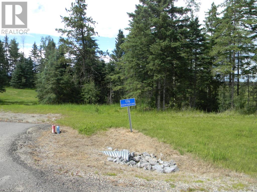 116 Meadow Ponds Drive, rural clearwater county, Alberta