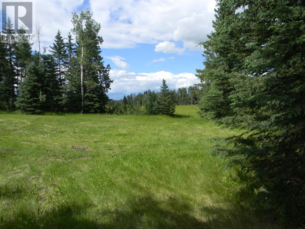 120 Meadow Ponds Drive, Rural Clearwater County, Alberta  T4T 1A7 - Photo 3 - A1021107