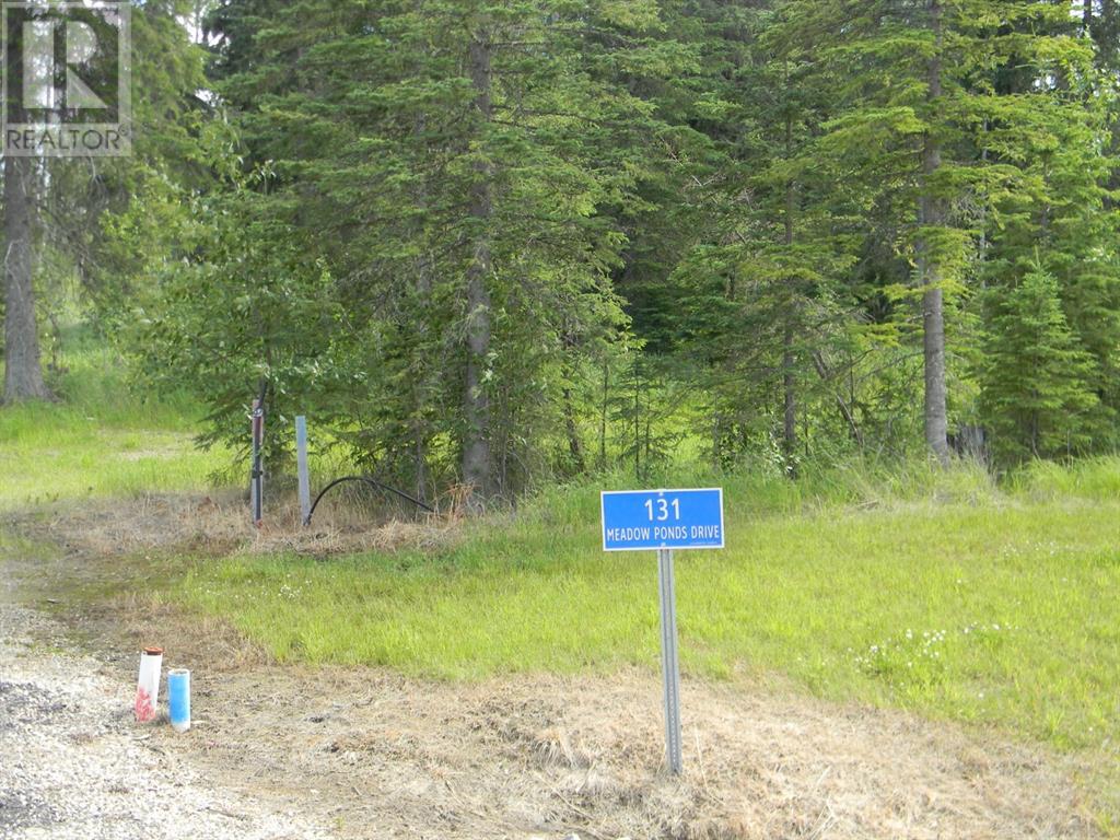 131 Meadow Ponds Drive, Rural Clearwater County, Alberta  T4T 1A7 - Photo 1 - A1021056