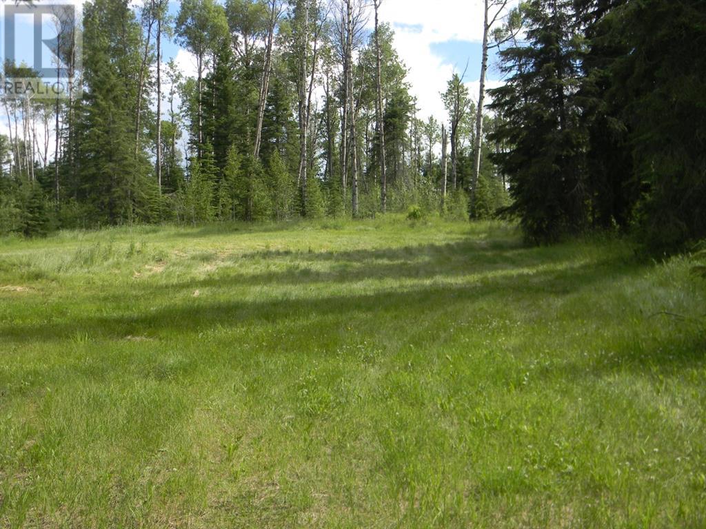 127 Meadow Ponds Drive, Rural Clearwater County, Alberta  T4T 1A7 - Photo 4 - A1021050