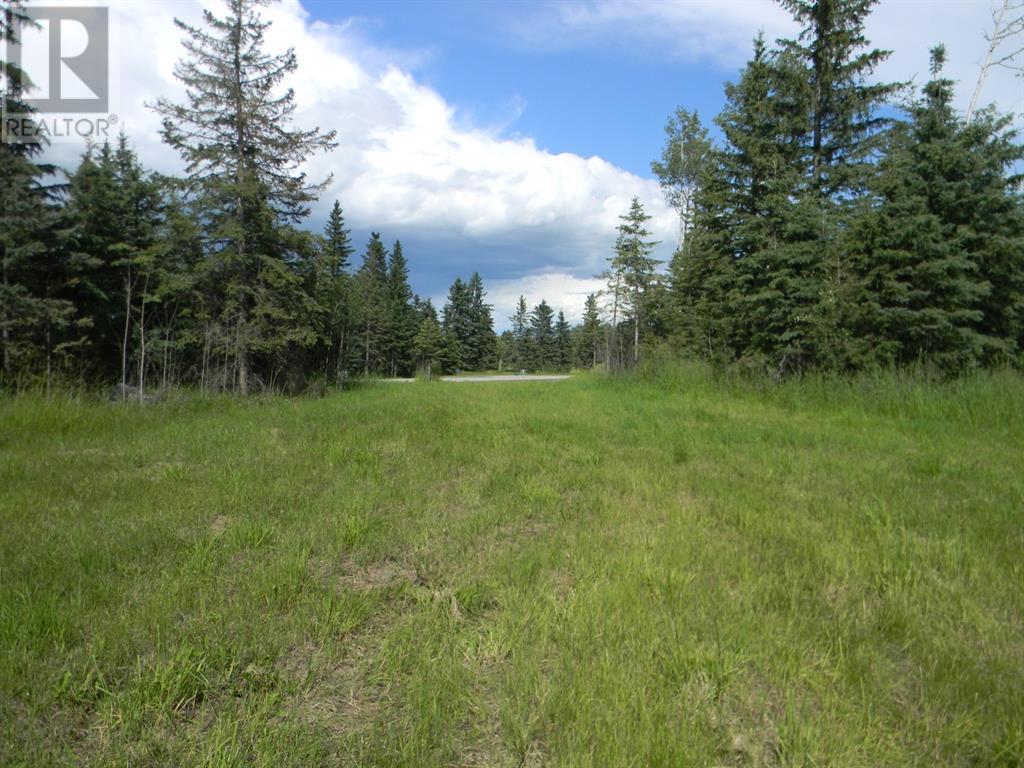115 Meadow Ponds Drive, Rural Clearwater County, Alberta  T4T 1A7 - Photo 2 - A1020971