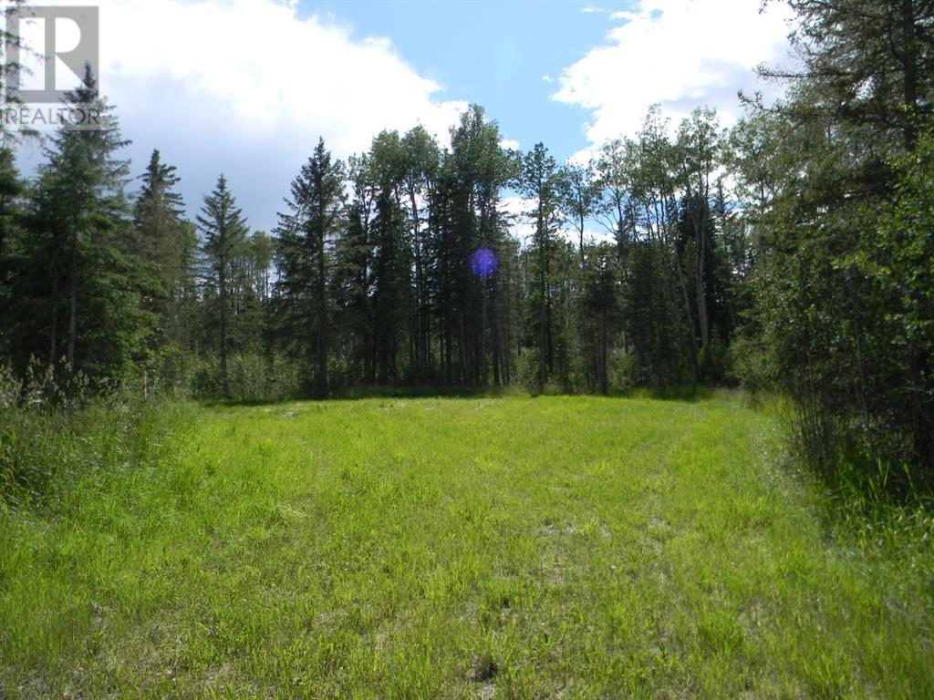 115 Meadow Ponds Drive, Rural Clearwater County, Alberta  T4T 1A7 - Photo 4 - A1020971