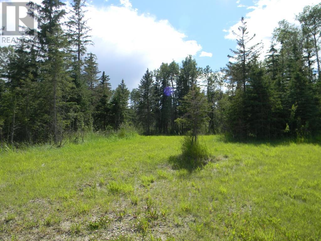 115 Meadow Ponds Drive, Rural Clearwater County, Alberta  T4T 1A7 - Photo 6 - A1020971