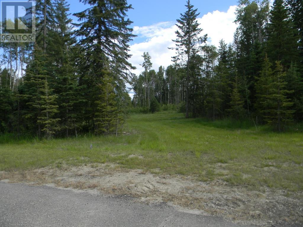 119 Meadow Ponds Drive, Rural Clearwater County, Alberta  T4T 1A7 - Photo 4 - A1021029