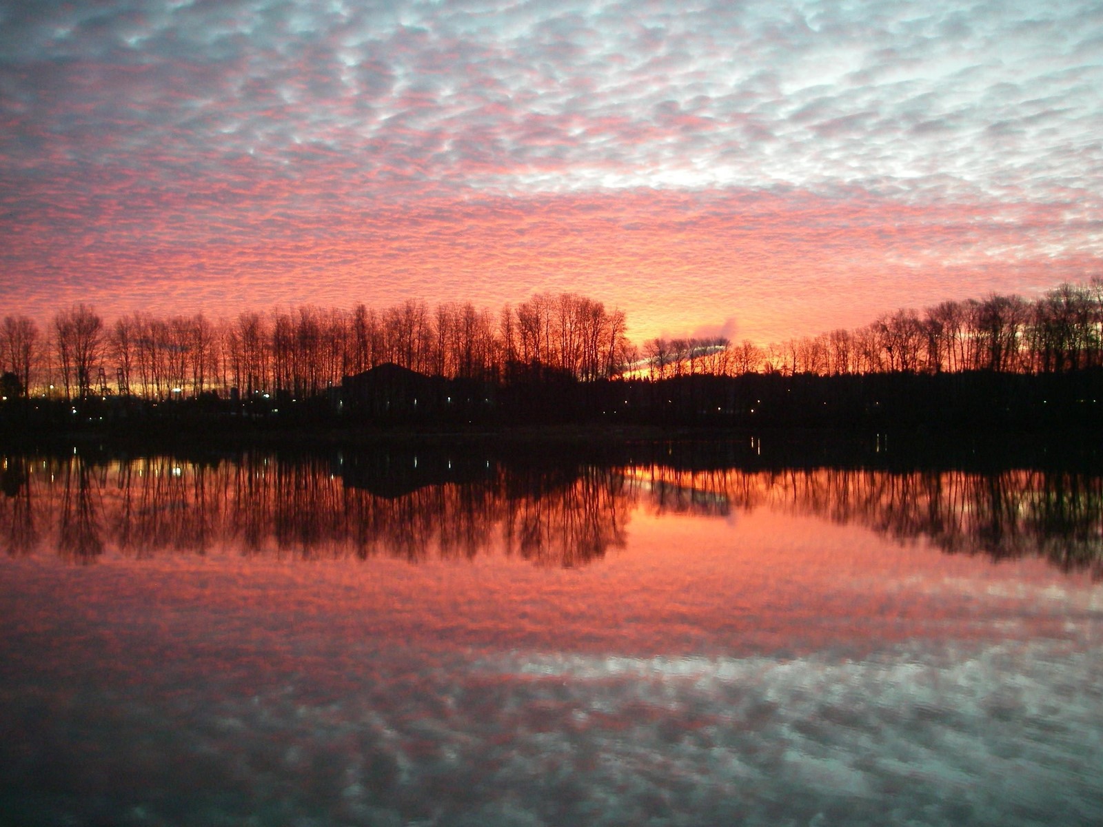 6 750 South Dyke Road, New Westminster, British Columbia  V3M 4Z8 - Photo 36 - R2765885