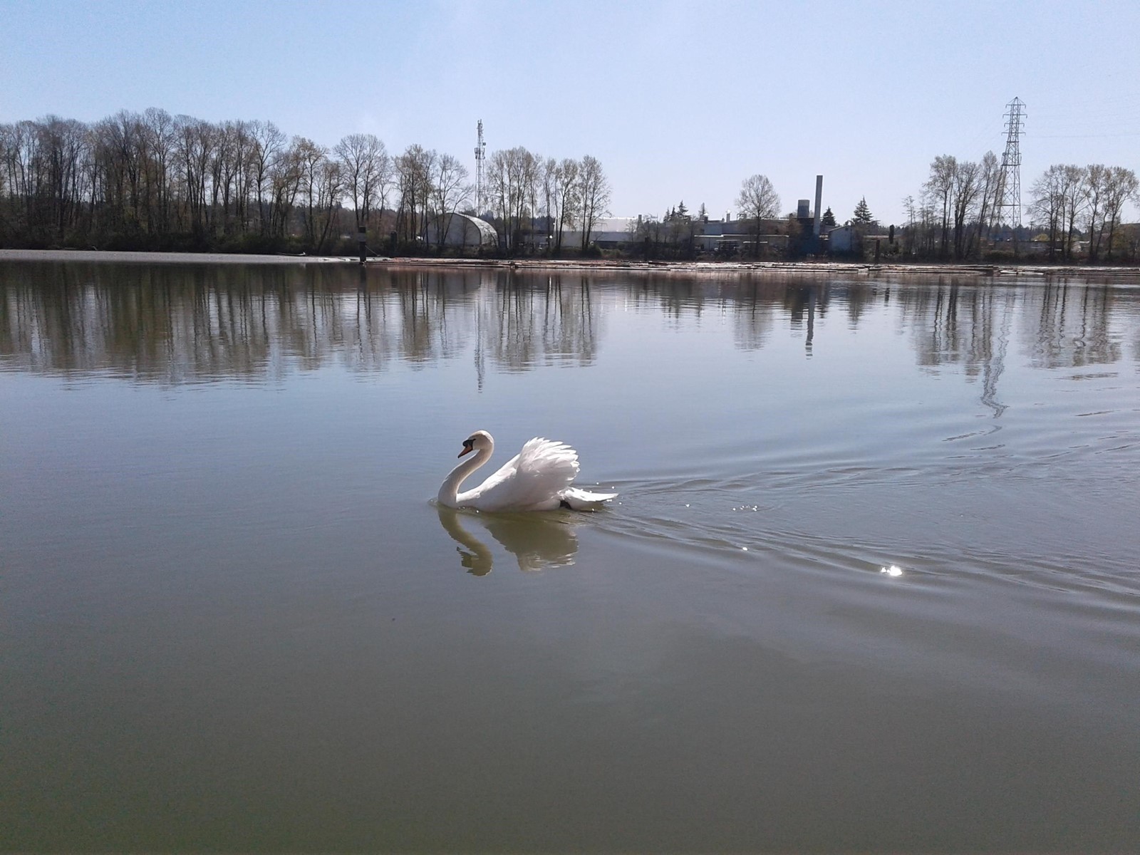 6 750 South Dyke Road, New Westminster, British Columbia  V3M 4Z8 - Photo 38 - R2765885