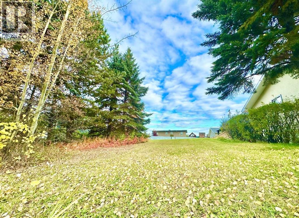 10316 103 Ave, Lac La Biche, Alberta  T0A 2C0 - Photo 2 - A1207968