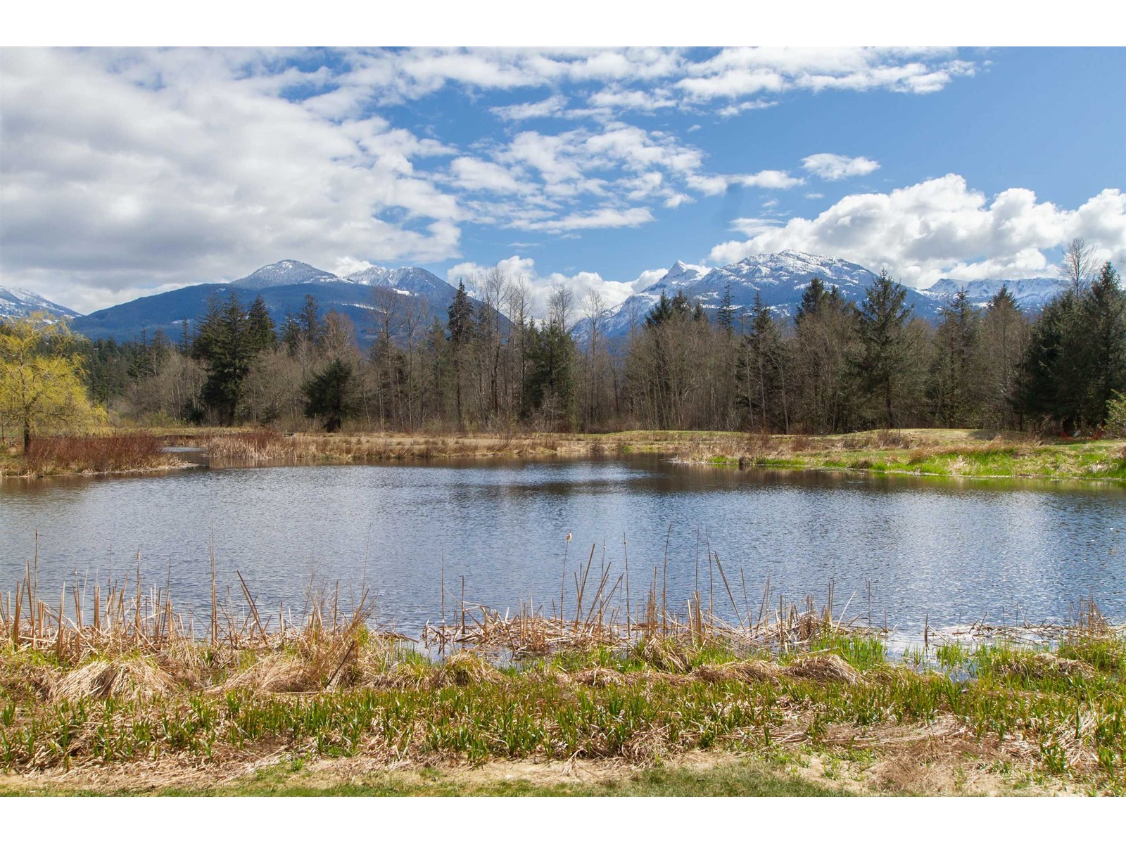 322 40900 Tantalus Road, Squamish, British Columbia  V8B 0R3 - Photo 4 - R2768406
