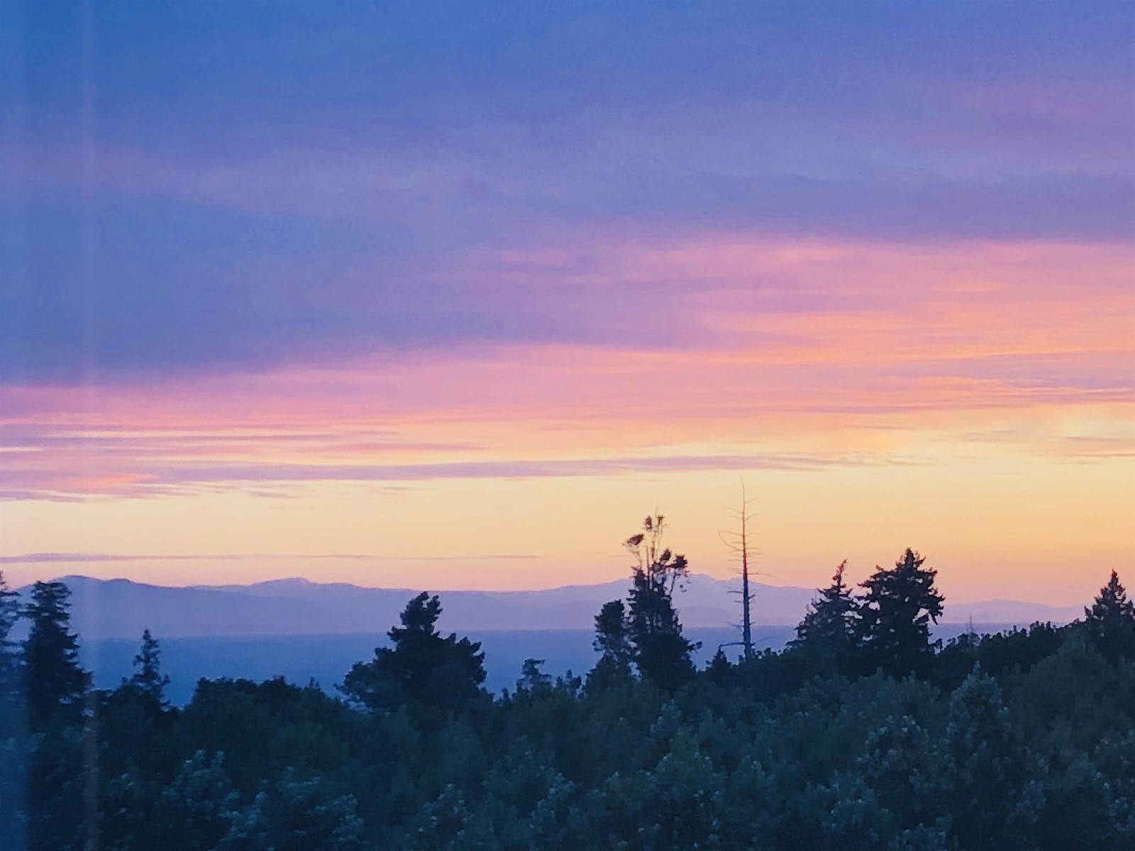 1001 2688 West Mall, Vancouver, British Columbia  V6T 2J8 - Photo 2 - R2769617