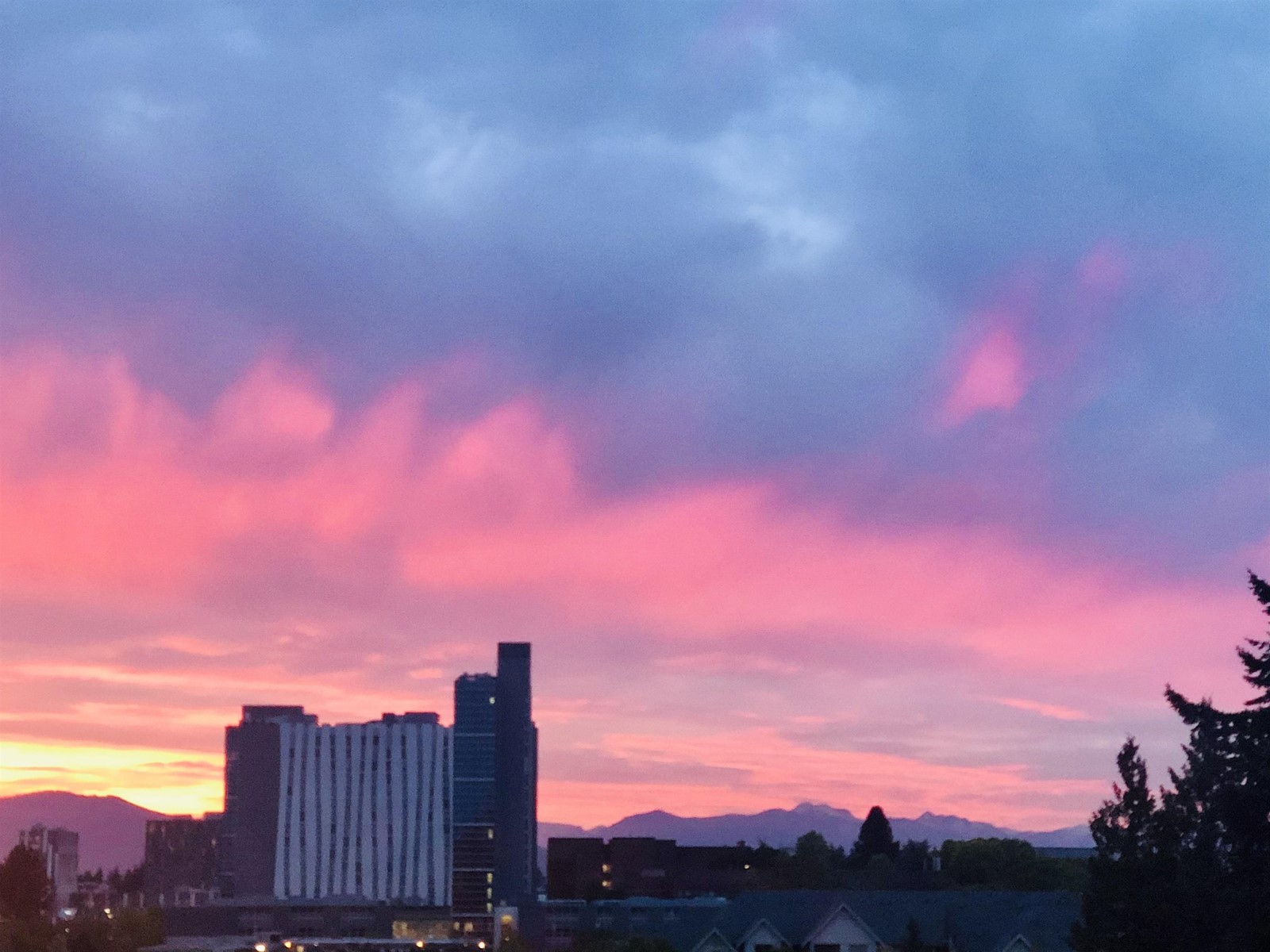 1001 2688 West Mall, Vancouver, British Columbia  V6T 2J8 - Photo 3 - R2769617