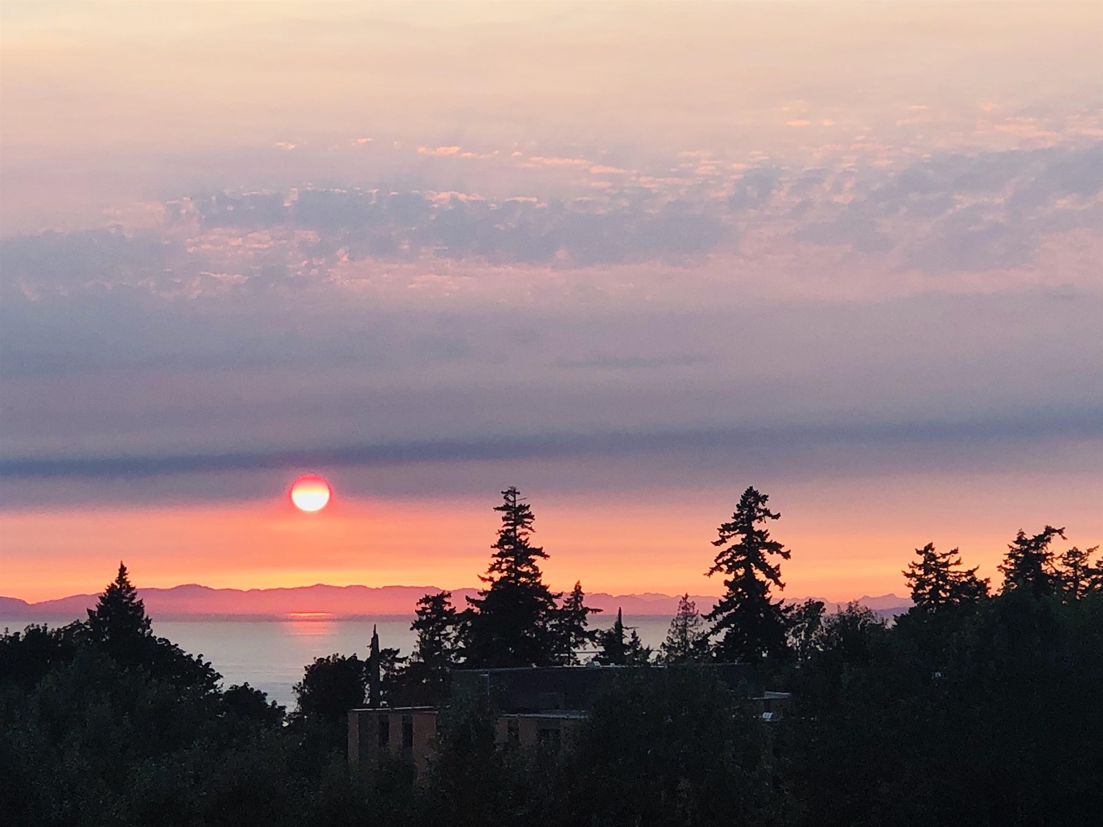 1001 2688 West Mall, Vancouver, British Columbia  V6T 2J8 - Photo 1 - R2769617