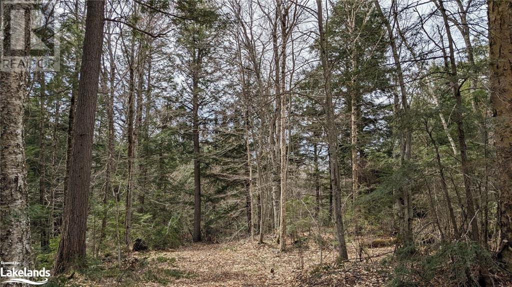 lot 2 limberlost road, lake of bays