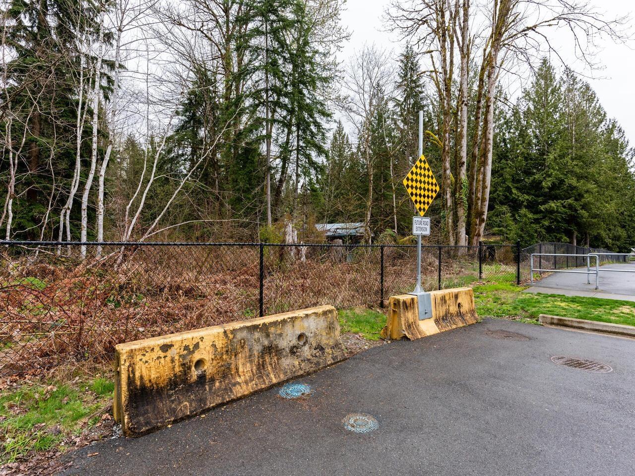 24115 Fern Crescent, Maple Ridge, British Columbia  V4R 2S1 - Photo 23 - R2772242