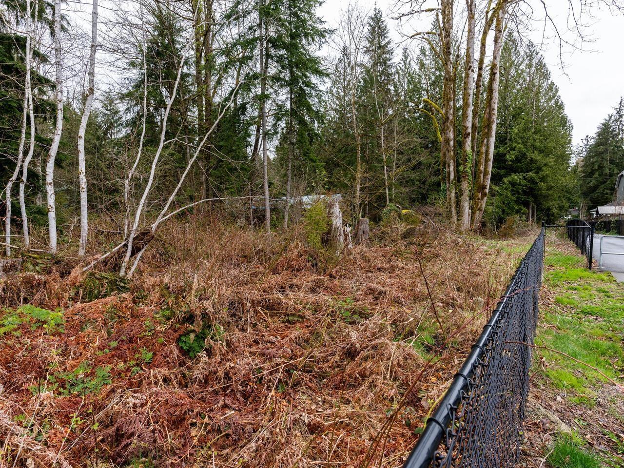 24115 Fern Crescent, Maple Ridge, British Columbia  V4R 2S1 - Photo 24 - R2772242