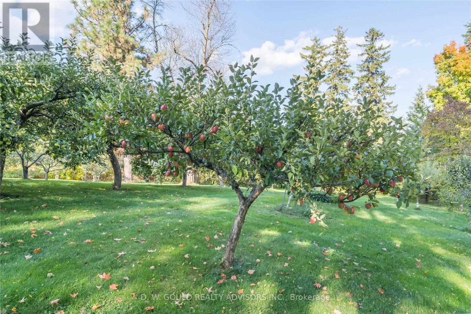 11106 Fourth Line, Halton Hills, Ontario  L7J 2M1 - Photo 32 - W5866514