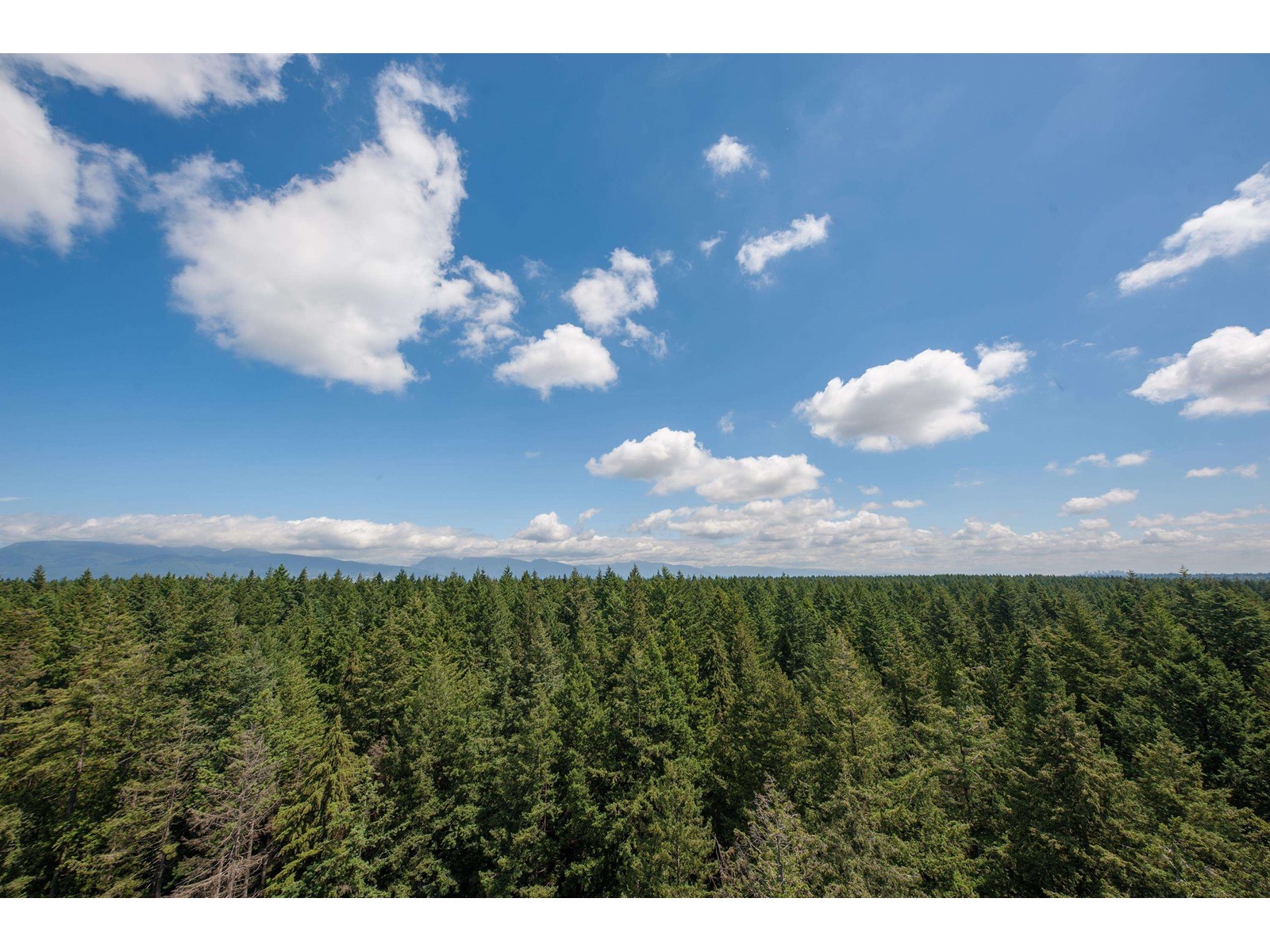 Ph1 5628 Birney Avenue, Vancouver, British Columbia  V6S 0H7 - Photo 15 - R2772403