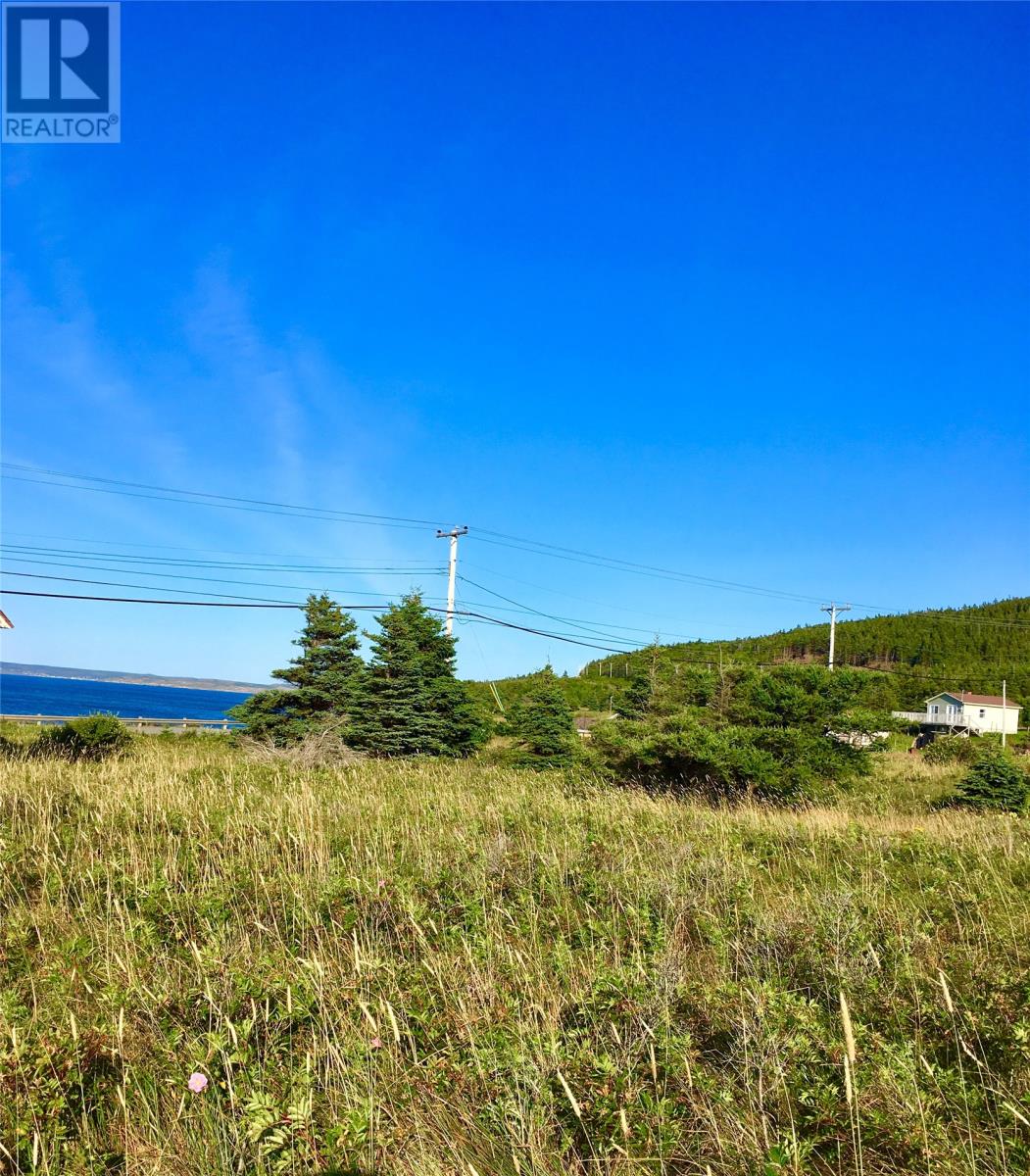 0 Church Road, New Melbourne, Newfoundland & Labrador  A0B 2R0 - Photo 3 - 1257497