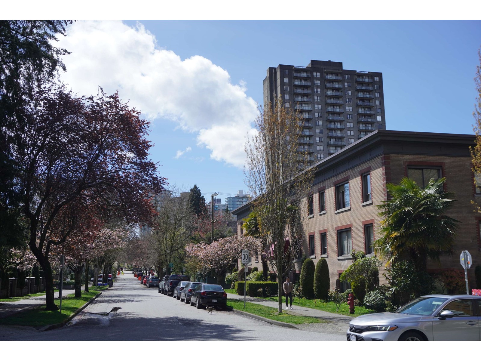 1511 Barclay Street, Vancouver, British Columbia  V5Y 0C2 - Photo 8 - C8051208