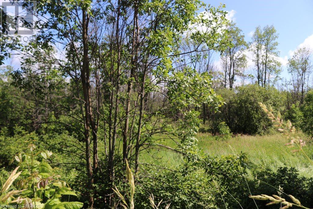 Lot 36 Bartley Drive, Northern Bruce Peninsula, Ontario N0H 1Z0 - Photo 1 - 40412788