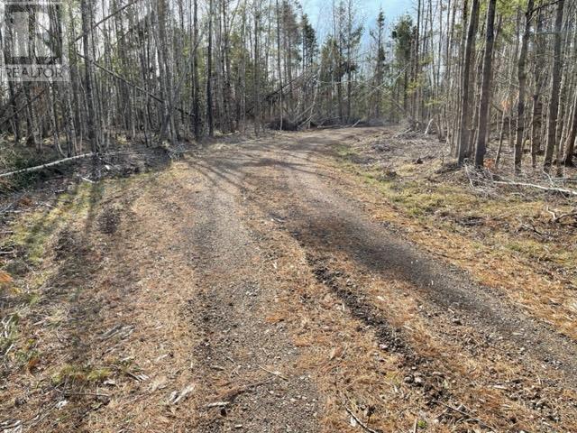 Lot 5 Sandy Mackay Road, Denmark, Nova Scotia  B0K 1V0 - Photo 6 - 202307763