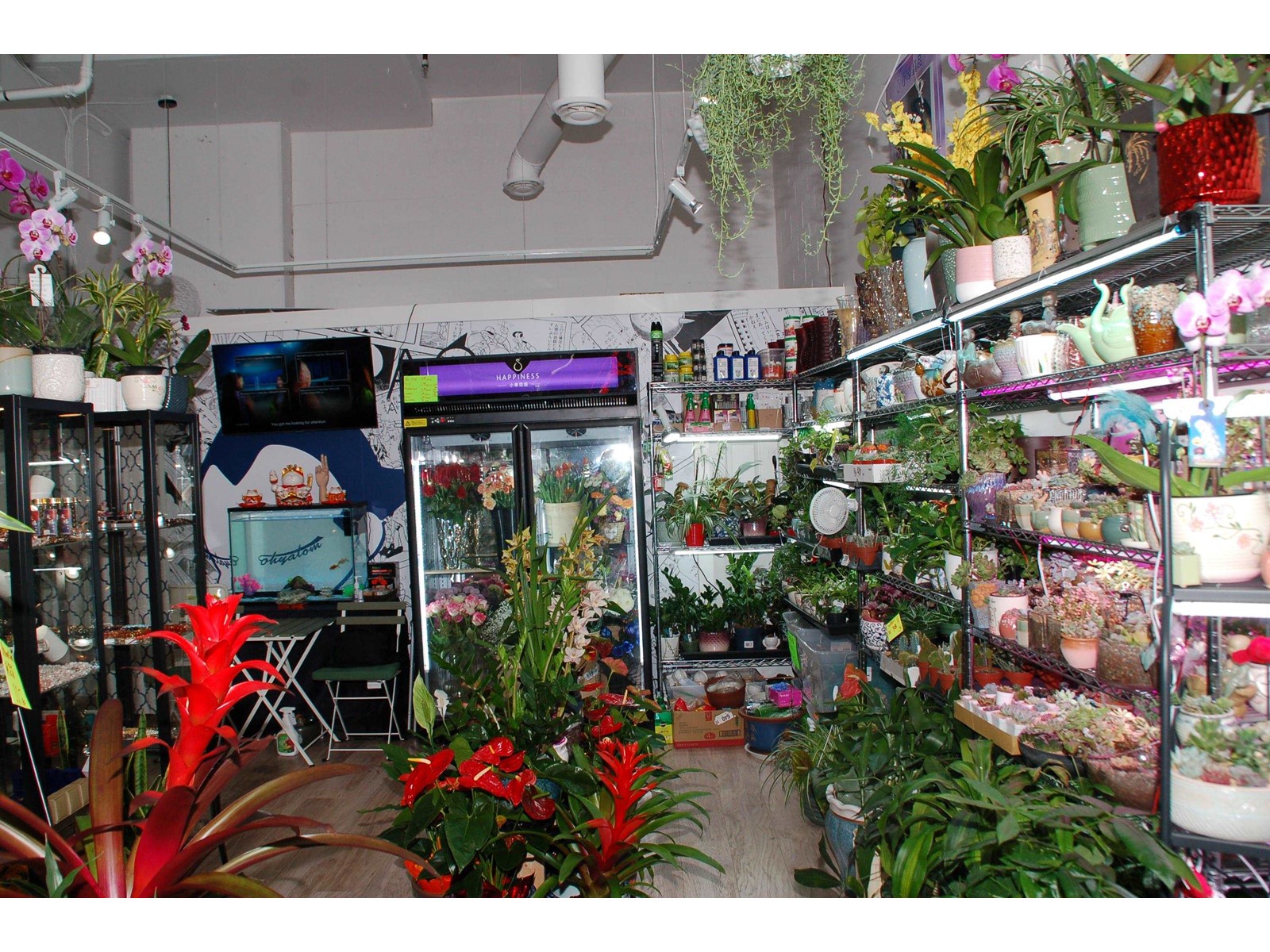 1629 4500 Kingsway, Burnaby, British Columbia  V5H 2A9 - Photo 4 - C8051183