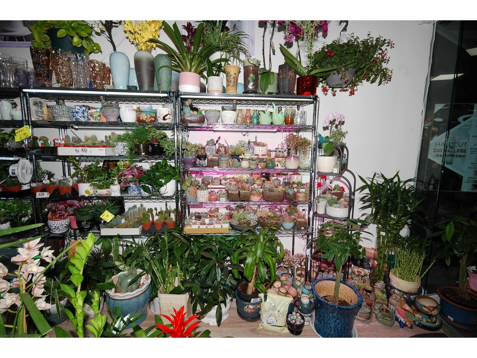 1629 4500 Kingsway, Burnaby, British Columbia  V5H 2A9 - Photo 22 - C8051183