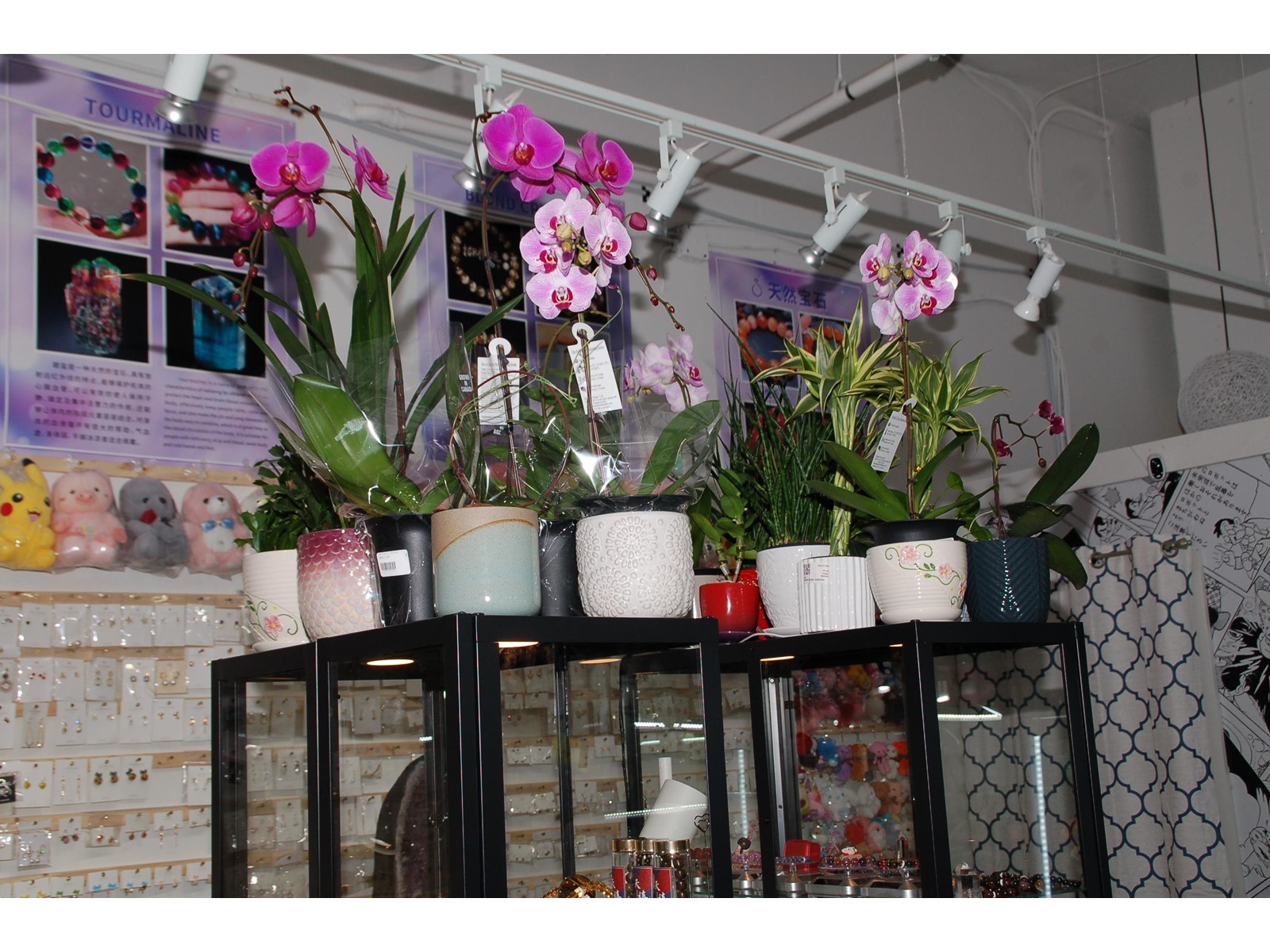 1629 4500 Kingsway, Burnaby, British Columbia  V5H 2A9 - Photo 11 - C8051183