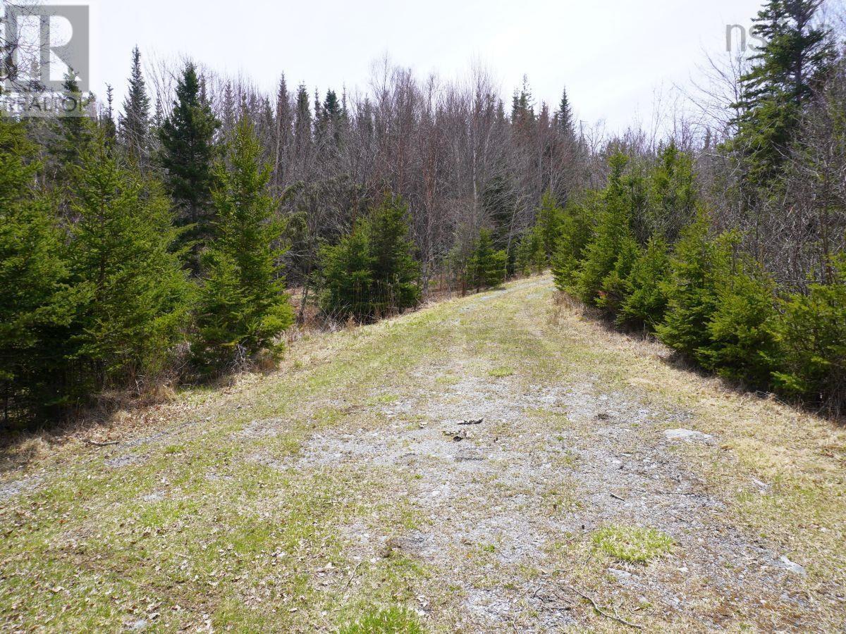 99-5 72 Naturer Dream P Boulevard, Roberta, Nova Scotia  B0E 3B0 - Photo 23 - 202307431