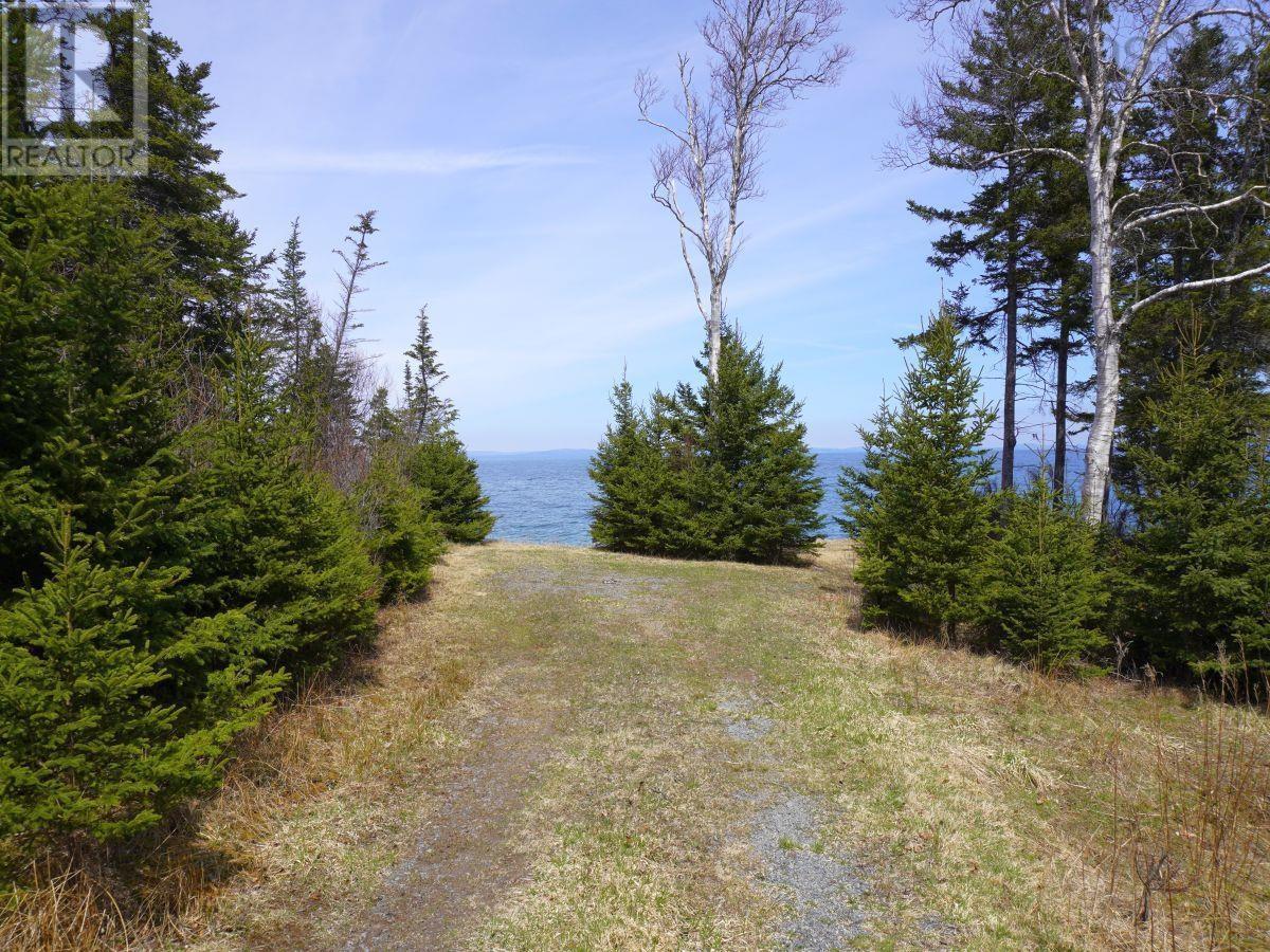 99-5 72 Naturer Dream P Boulevard, Roberta, Nova Scotia  B0E 3B0 - Photo 24 - 202307431