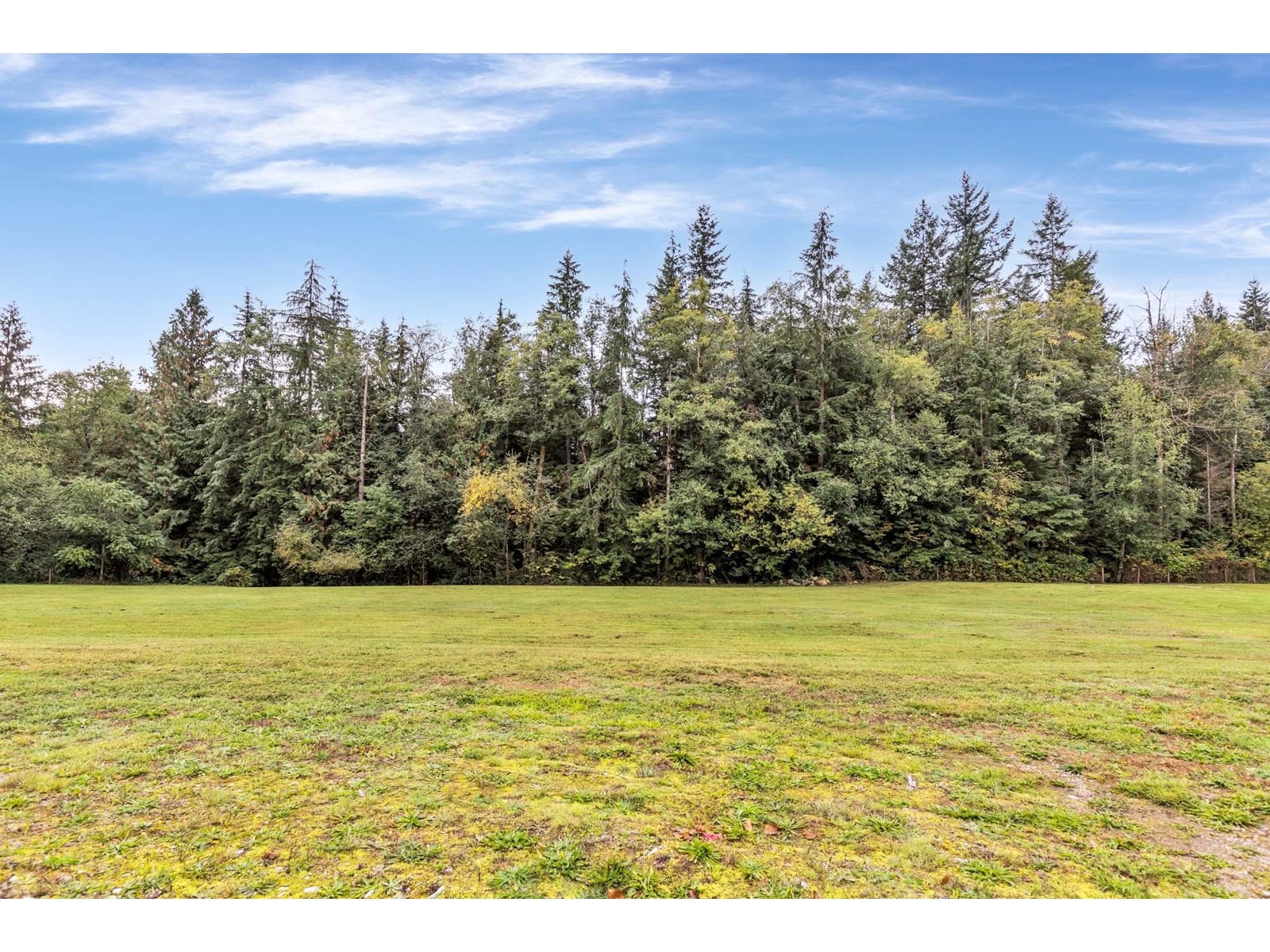 28064 112 Avenue, Maple Ridge, British Columbia  V2W 1M9 - Photo 35 - R2774456