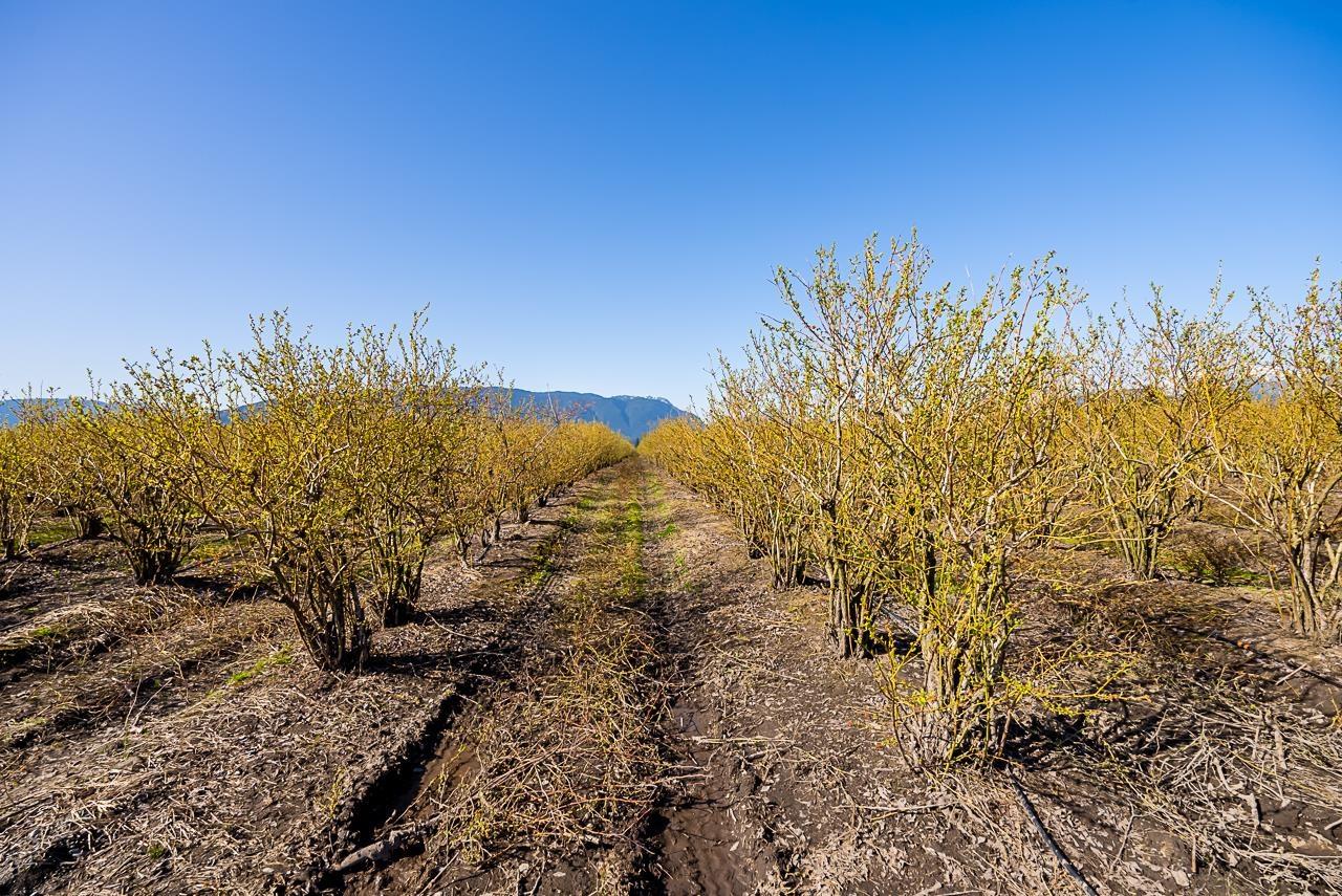 13795 Hale Road, Pitt Meadows, British Columbia  V3Y 1Z1 - Photo 24 - R2772253