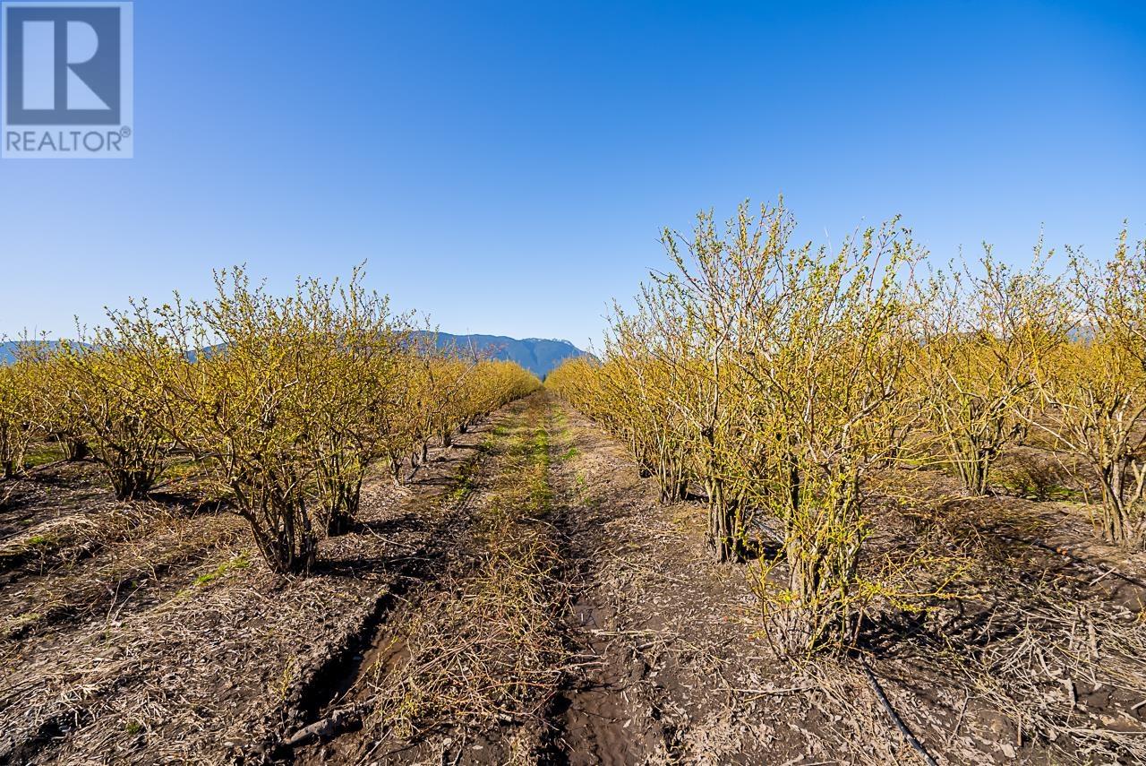 13795 Hale Road, Pitt Meadows, British Columbia  V3Y 1Z1 - Photo 1 - R2772253