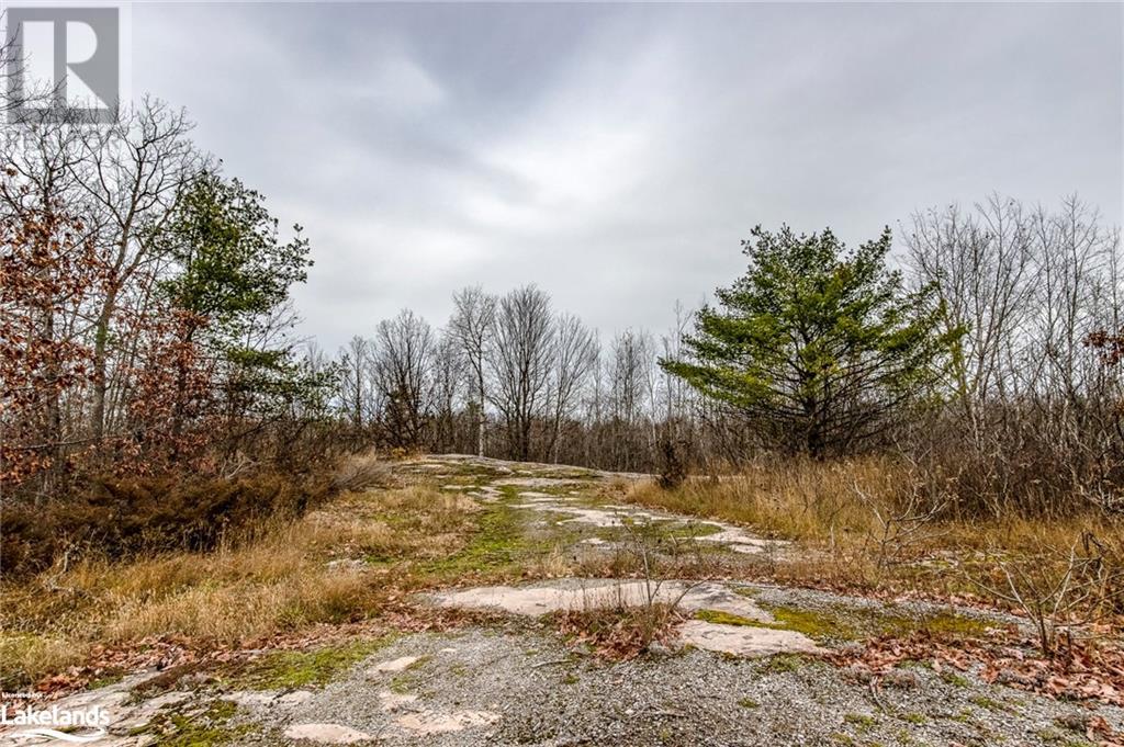 Lot 30 Birch Acres Drive, Honey Harbour, Ontario  P0E 1E0 - Photo 21 - 40414169