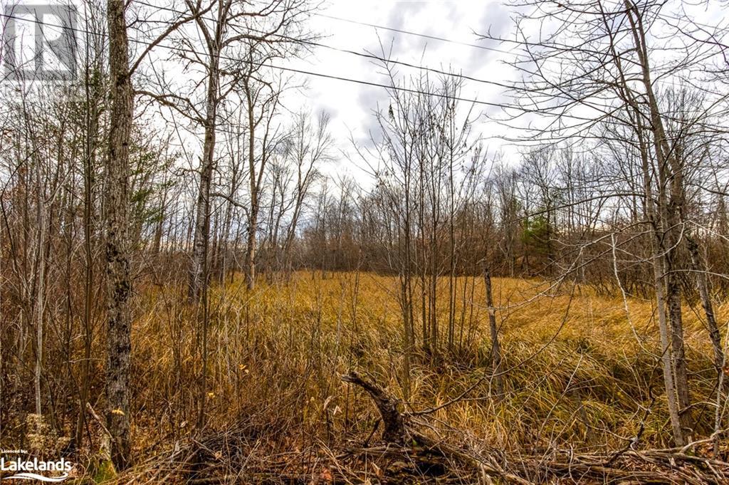 Lot 30 Birch Acres Drive, Honey Harbour, Ontario  P0E 1E0 - Photo 28 - 40414169