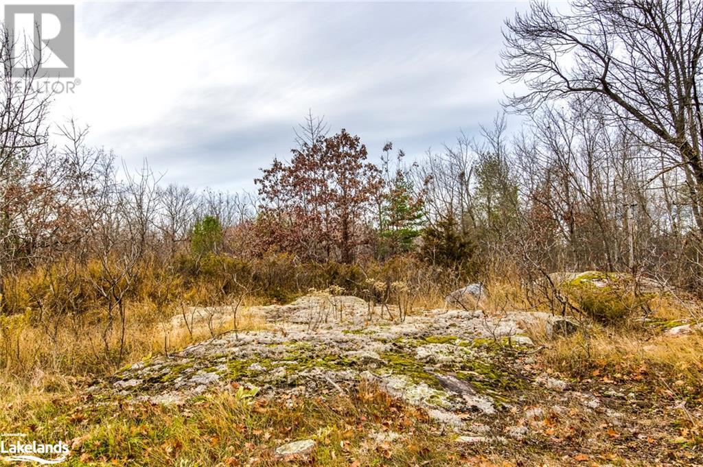 Lot 30 Birch Acres Drive, Honey Harbour, Ontario  P0E 1E0 - Photo 33 - 40414169