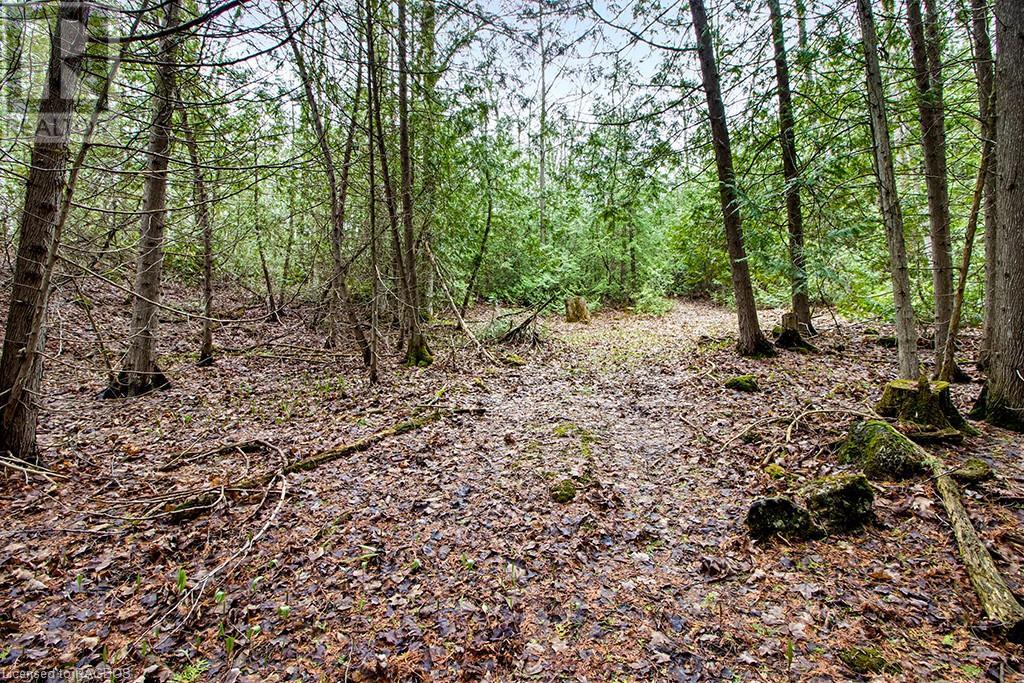 468042 12th Concession B, Grey Highlands, Ontario  N0C 1C0 - Photo 19 - 40403359