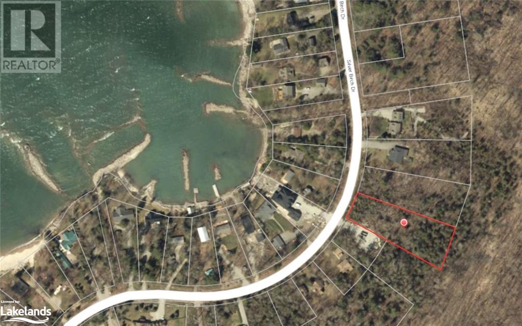 465 silver birch drive, tiny