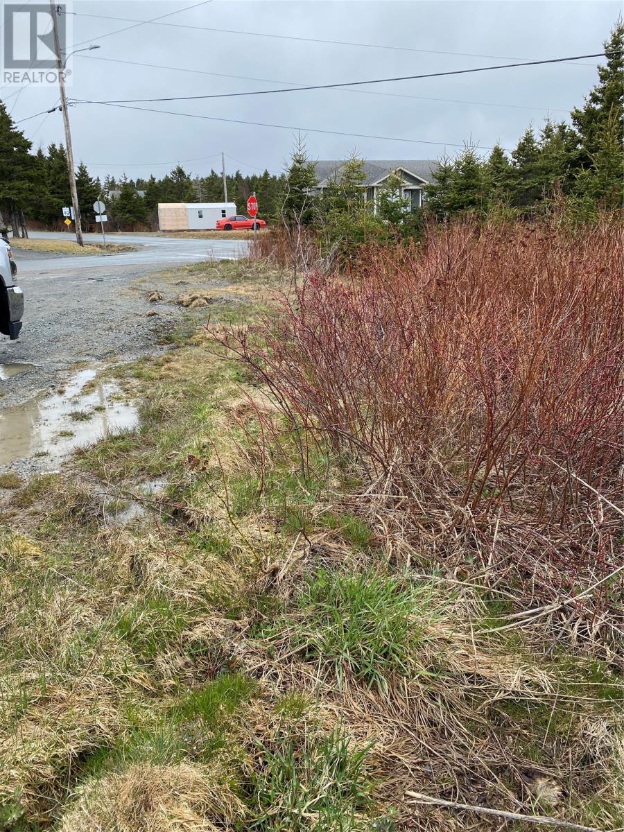 194-196 Neck Road, bay roberts, Newfoundland & Labrador