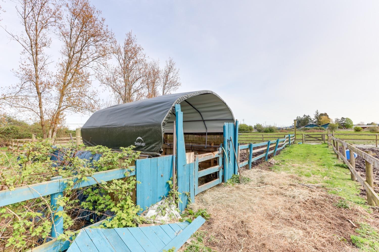 2975 53rd Street, Delta, British Columbia  V4L 2N5 - Photo 34 - C8051443