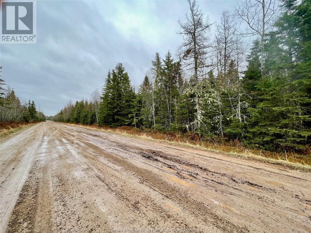 Lot Brooklyn Rd, Midgic, New Brunswick  E4L 1W8 - Photo 6 - M152558