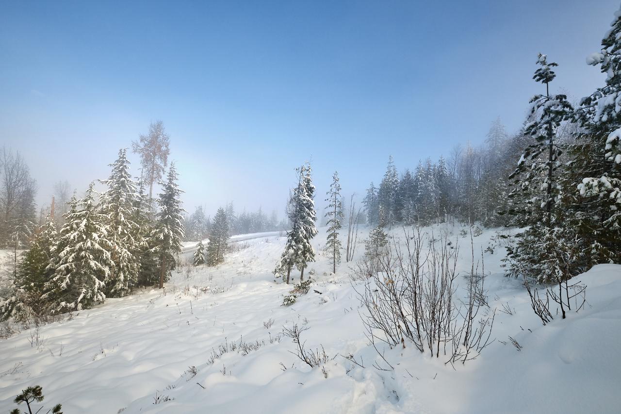 Lot A Richie Road, Rossland, British Columbia  V0G 1Y0 - Photo 45 - 2465729