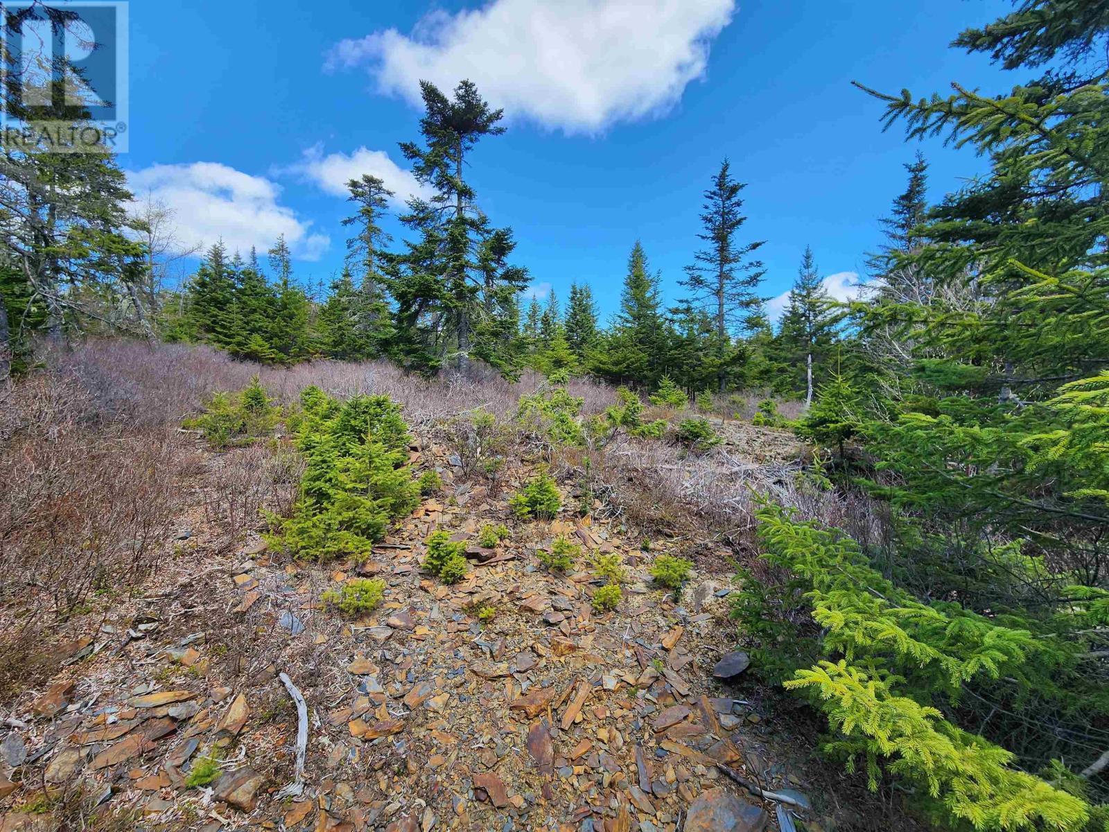 Lot 1 And 2 Ovens Road, Feltzen South, Nova Scotia  B0J 2X0 - Photo 13 - 202308478