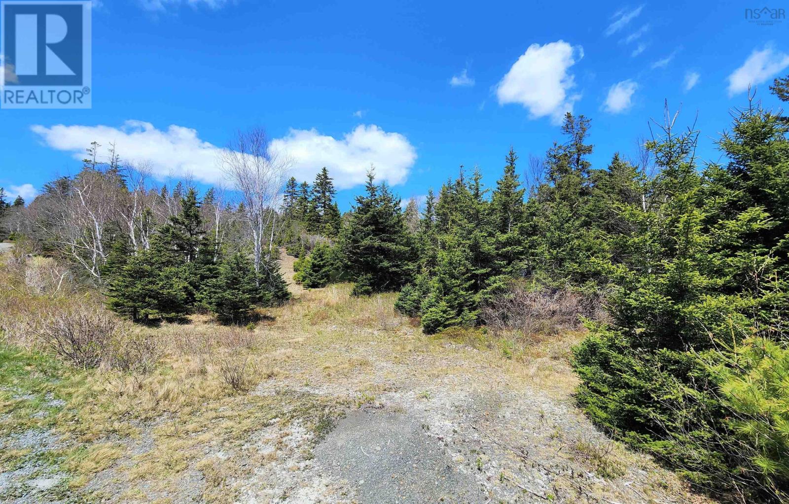 Lot 1 And 2 Ovens Road, Feltzen South, Nova Scotia  B0J 2X0 - Photo 7 - 202308478