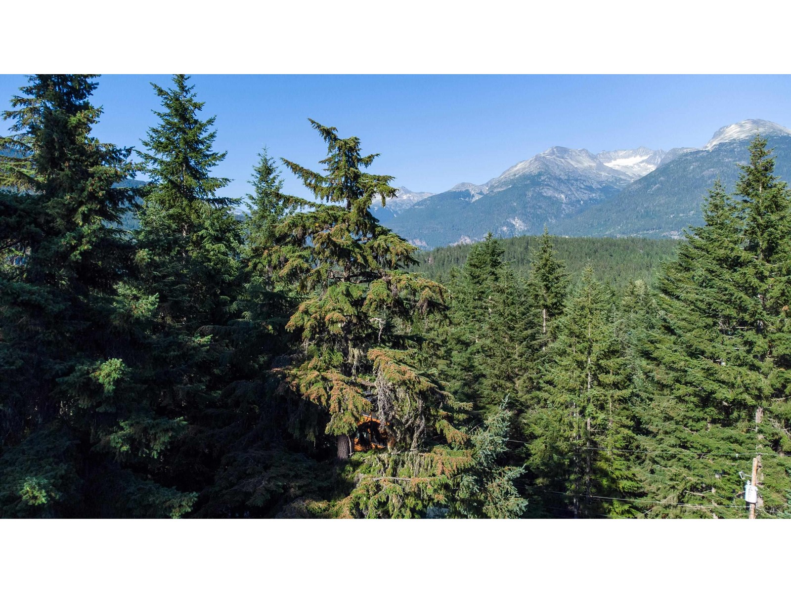 9202 PINETREE LANE, whistler, British Columbia