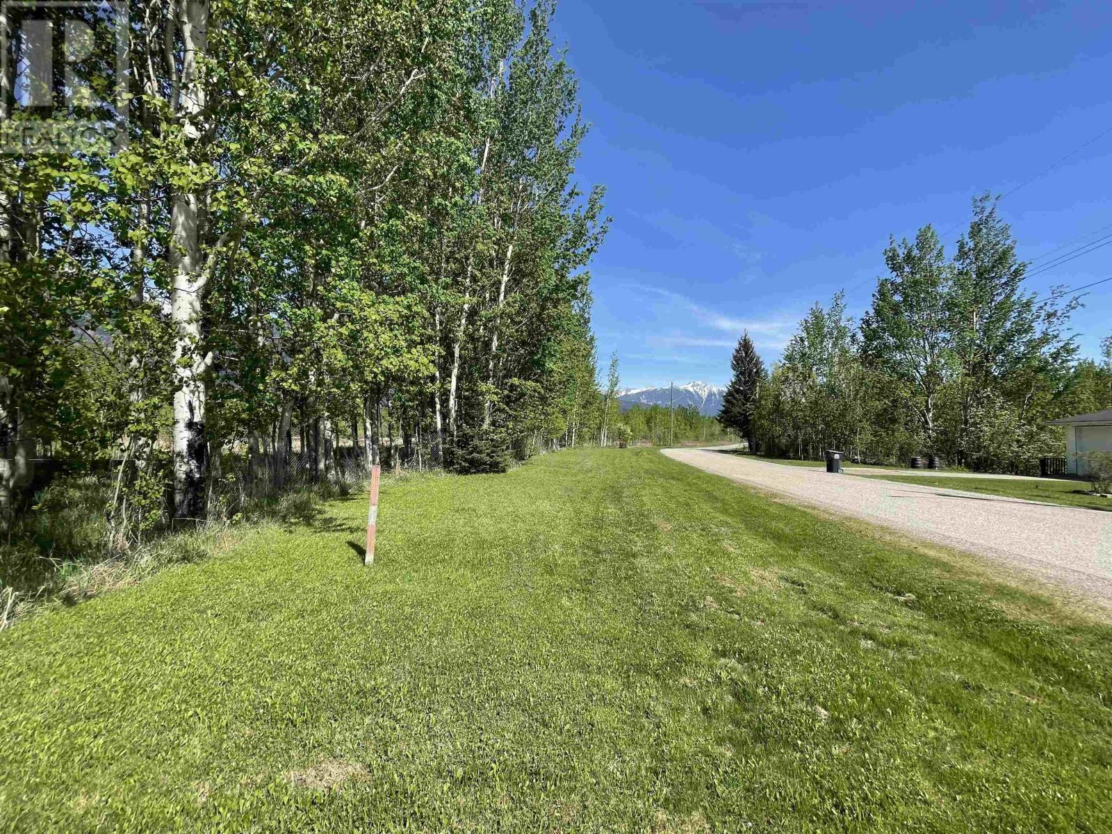 210 Horseshoe Lake Road, Mcbride, British Columbia  V0J 2E0 - Photo 2 - R2777286