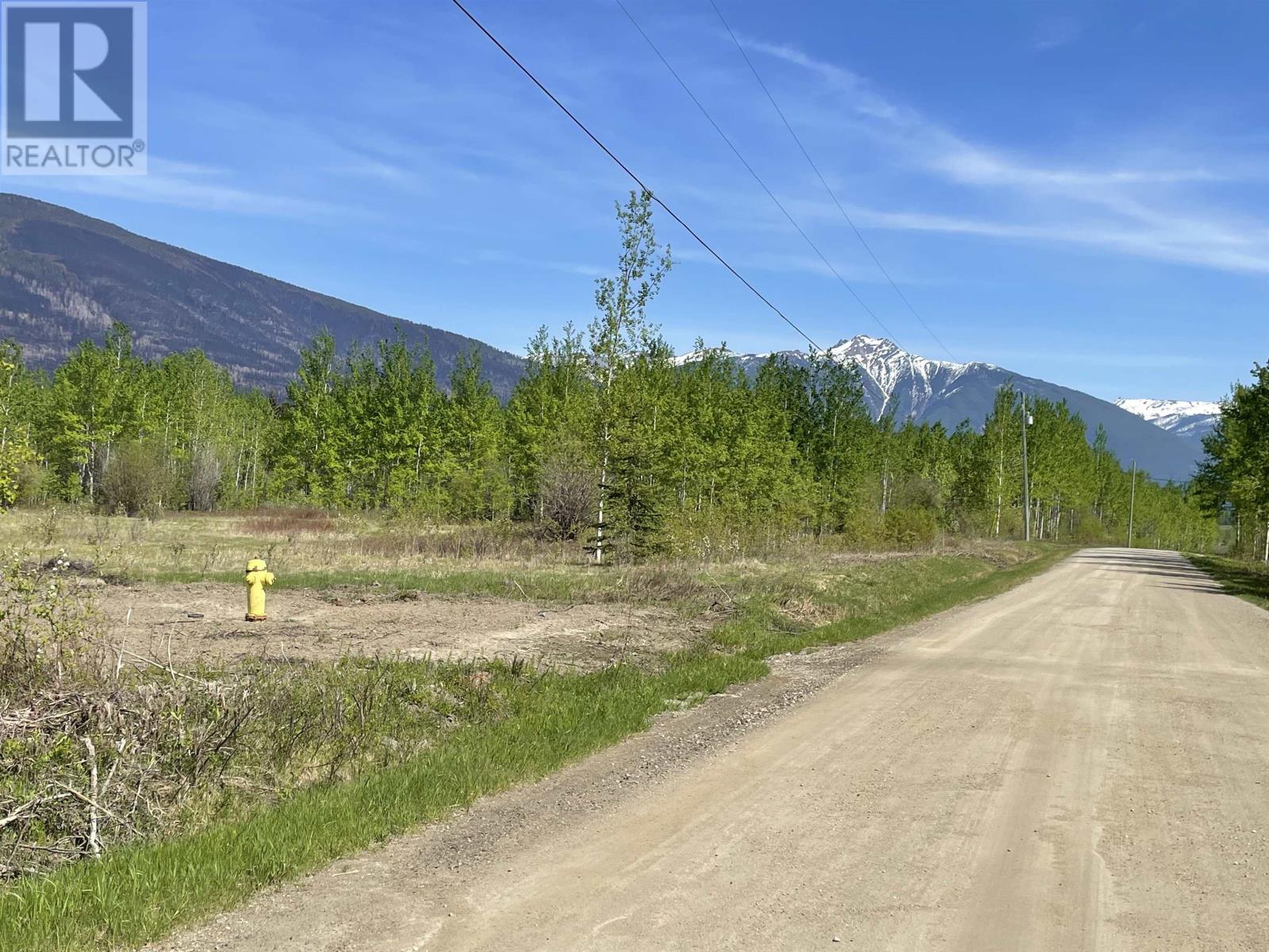 210 Horseshoe Lake Road, Mcbride, British Columbia  V0J 2E0 - Photo 4 - R2777286