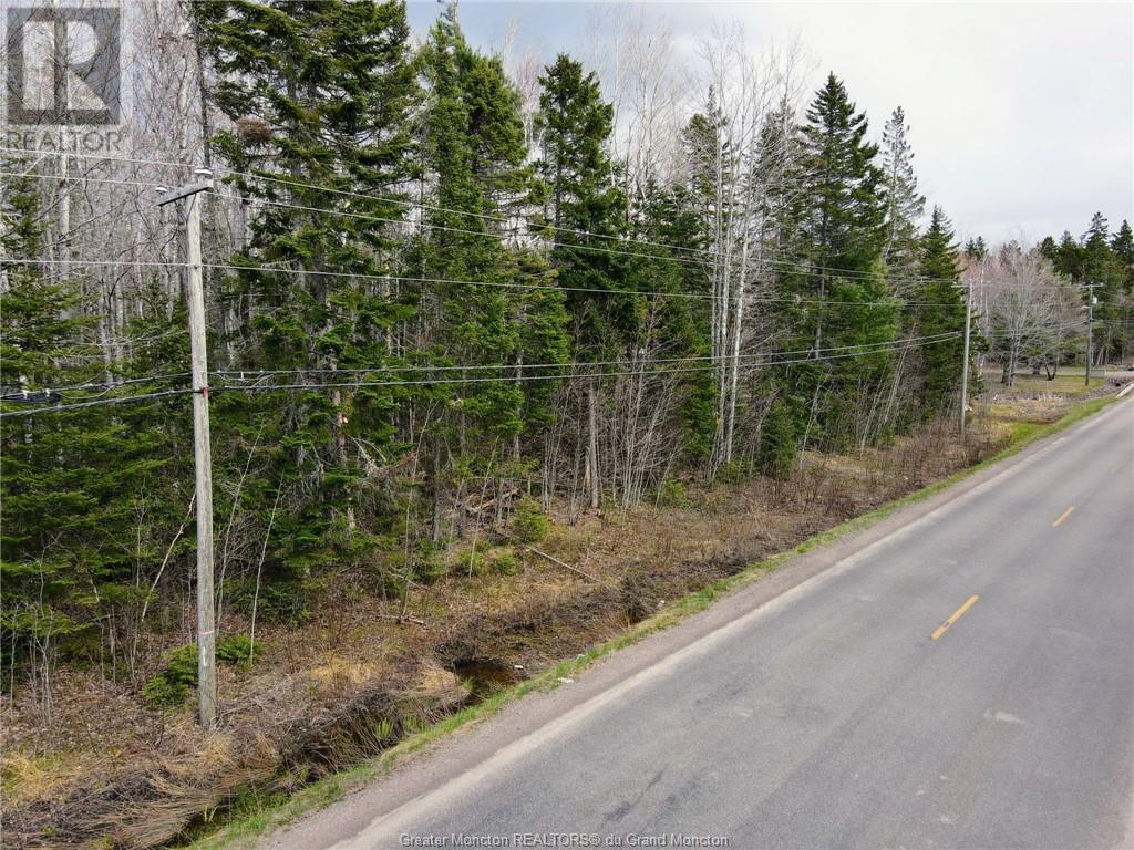 Lot 73-5 Route 490, Mcquade, New Brunswick  E1G 3J3 - Photo 7 - M152687