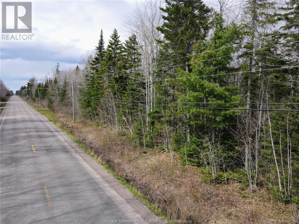 Lot 73-5 Route 490, Mcquade, New Brunswick  E1G 3J3 - Photo 8 - M152687