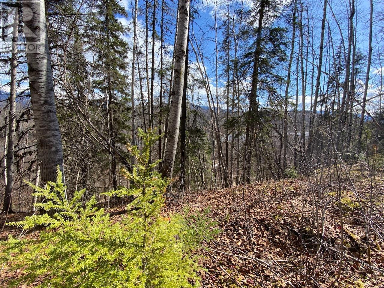 LOT 1557 POPLAR PARK ROAD, hazelton, British Columbia