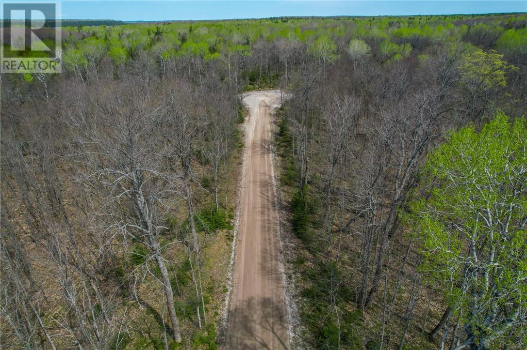 Lot 20 Steven Street, Manitoulin Island, Ontario  P0P 1H0 - Photo 11 - 2109184